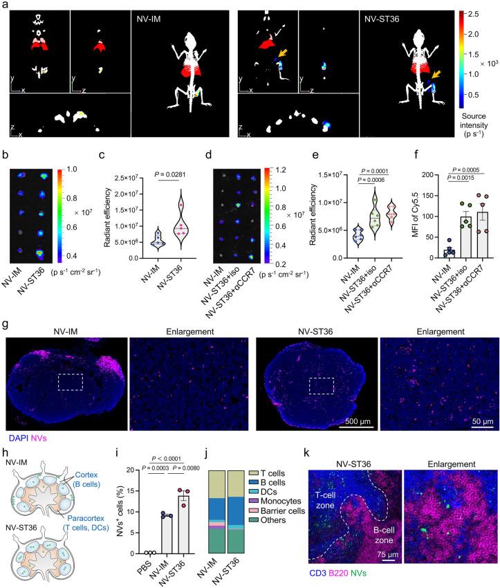 https://cdn.ncbi.nlm.nih.gov/pmc/blobs/fce3/12119423/d42256d17955/40820_2025_1789_Fig3_HTML.jpg