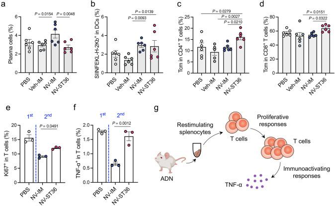 https://cdn.ncbi.nlm.nih.gov/pmc/blobs/fce3/12119423/edc7ae232324/40820_2025_1789_Fig6_HTML.jpg