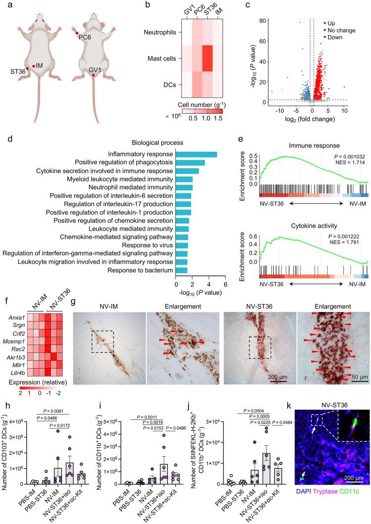 https://cdn.ncbi.nlm.nih.gov/pmc/blobs/fce3/12119423/facb6488aaf1/40820_2025_1789_Fig2_HTML.jpg