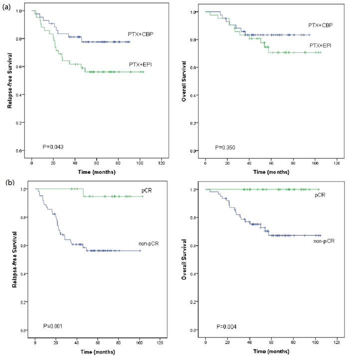 https://cdn.ncbi.nlm.nih.gov/pmc/blobs/fce3/5312408/87c8dadff4fc/oncotarget-07-60647-g004.jpg