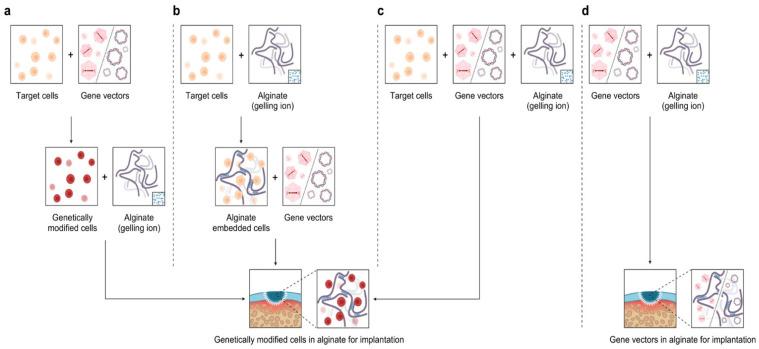 https://cdn.ncbi.nlm.nih.gov/pmc/blobs/fce7/8835677/f8155d453c62/ijms-23-01147-g006.jpg
