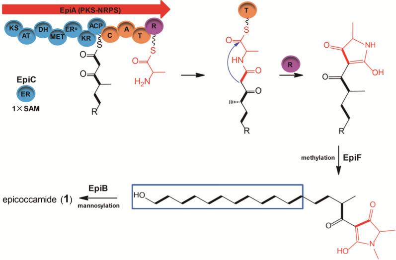 https://cdn.ncbi.nlm.nih.gov/pmc/blobs/fce7/9685919/e49a35b94667/12934_2022_1975_Fig4_HTML.jpg