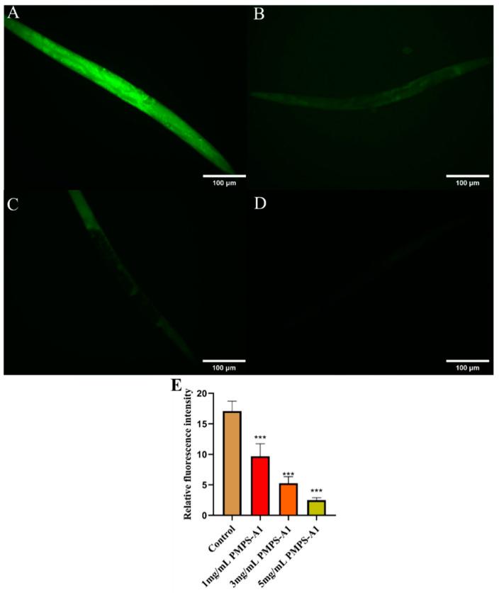 https://cdn.ncbi.nlm.nih.gov/pmc/blobs/fce8/12026434/a32585d09c64/foods-14-01359-g009.jpg