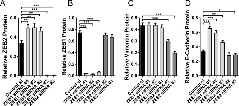 https://cdn.ncbi.nlm.nih.gov/pmc/blobs/fce9/6021232/5ad5aeb0ff83/oncotarget-09-27708-g005.jpg