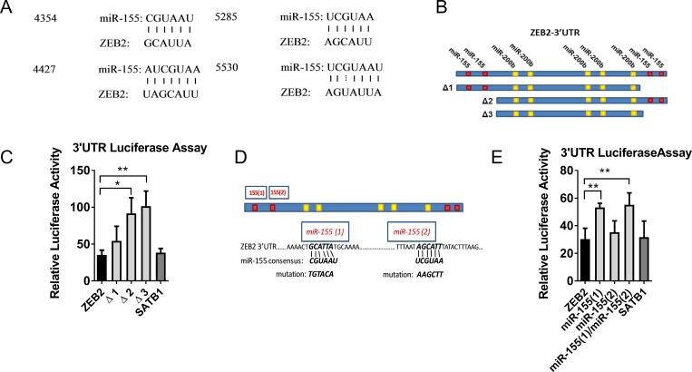 https://cdn.ncbi.nlm.nih.gov/pmc/blobs/fce9/6021232/5d32dabc0a44/oncotarget-09-27708-g003.jpg