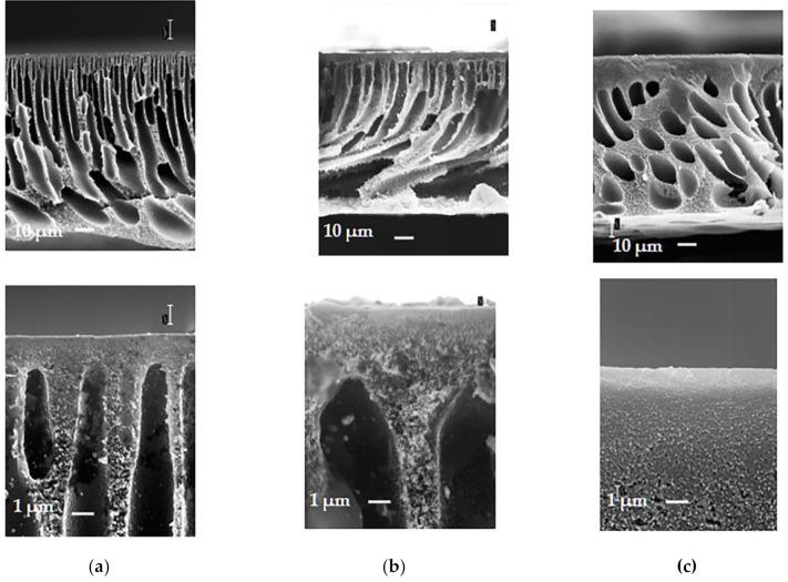 https://cdn.ncbi.nlm.nih.gov/pmc/blobs/fce9/8510054/202954248956/materials-14-05740-g007.jpg