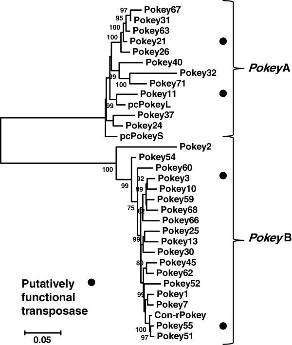 https://cdn.ncbi.nlm.nih.gov/pmc/blobs/fcec/3849761/6236af223473/1759-8753-4-20-3.jpg