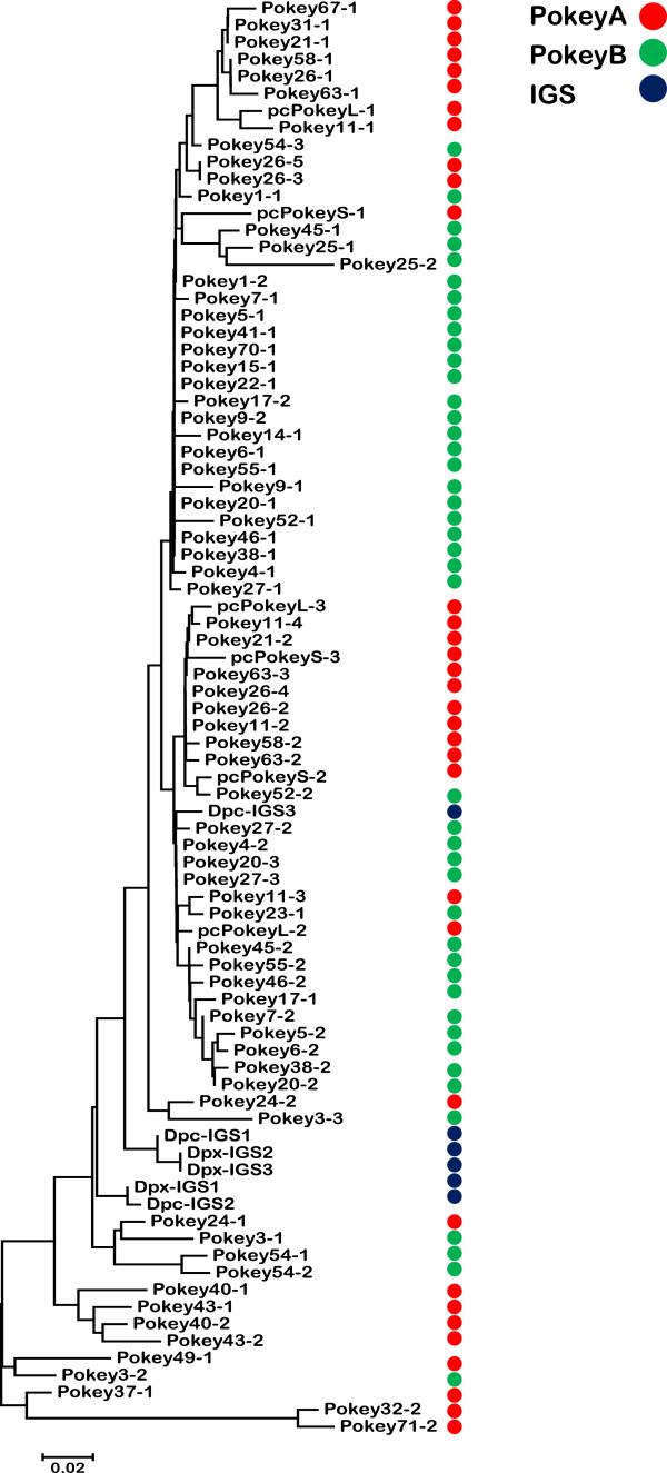 https://cdn.ncbi.nlm.nih.gov/pmc/blobs/fcec/3849761/84b0ecaa3d46/1759-8753-4-20-6.jpg