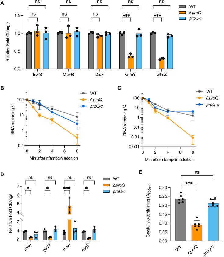 https://cdn.ncbi.nlm.nih.gov/pmc/blobs/fcee/12426089/05b67c56a4b5/fcimb-15-1627518-g004.jpg