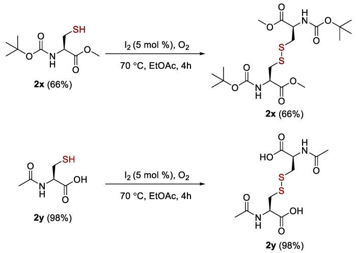 https://cdn.ncbi.nlm.nih.gov/pmc/blobs/fcef/10574728/06fa590b6ab1/molecules-28-06789-g003.jpg