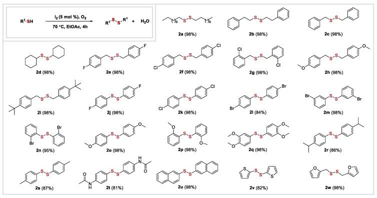 https://cdn.ncbi.nlm.nih.gov/pmc/blobs/fcef/10574728/3fad5245512b/molecules-28-06789-g002.jpg
