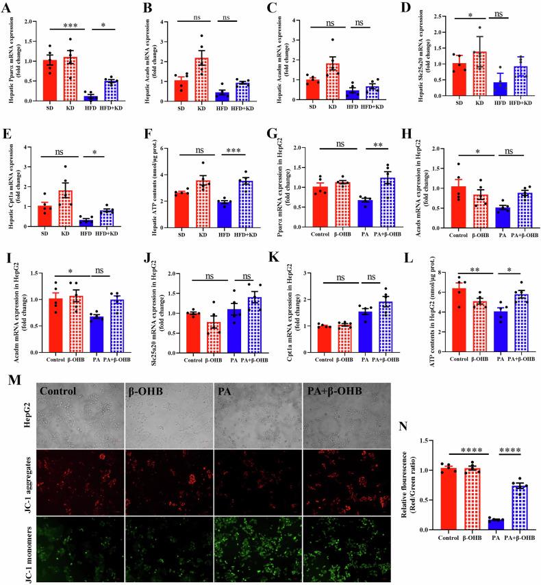 https://cdn.ncbi.nlm.nih.gov/pmc/blobs/fcef/12375717/48f685a05c65/41387_2025_391_Fig5_HTML.jpg