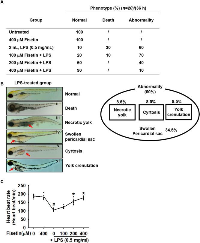 https://cdn.ncbi.nlm.nih.gov/pmc/blobs/fcef/8052411/63a6240d12dc/41598_2021_87257_Fig3_HTML.jpg