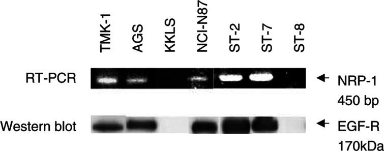 https://cdn.ncbi.nlm.nih.gov/pmc/blobs/fcf0/2376351/b1b53e047dc3/88-6600811f1.jpg
