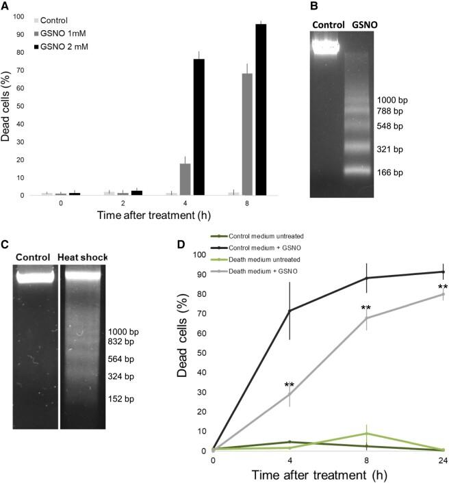 https://cdn.ncbi.nlm.nih.gov/pmc/blobs/fcf1/10980519/3779c9552131/kiad618f1.jpg