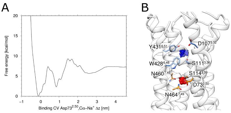 https://cdn.ncbi.nlm.nih.gov/pmc/blobs/fcf4/8836275/5559d410aaf3/ijms-23-01420-g002.jpg