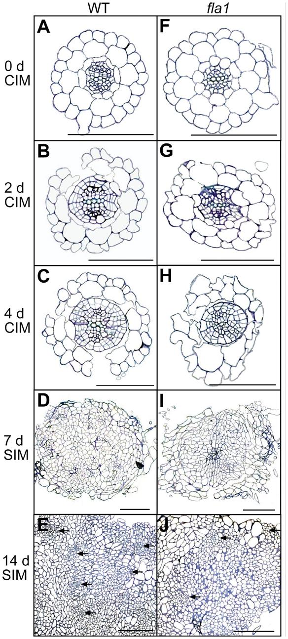 https://cdn.ncbi.nlm.nih.gov/pmc/blobs/fcf6/3178619/b7a363987610/pone.0025154.g004.jpg