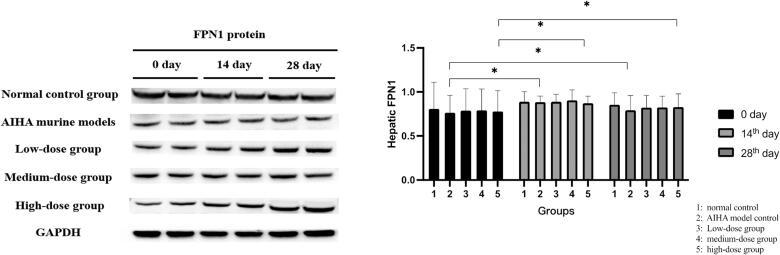 https://cdn.ncbi.nlm.nih.gov/pmc/blobs/fcf7/9809345/c1d4f3c4e913/IANN_A_2157475_F0003_B.jpg