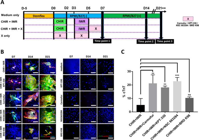 https://cdn.ncbi.nlm.nih.gov/pmc/blobs/fcf9/11261571/bbb3d0861fee/am4c04451_0005.jpg