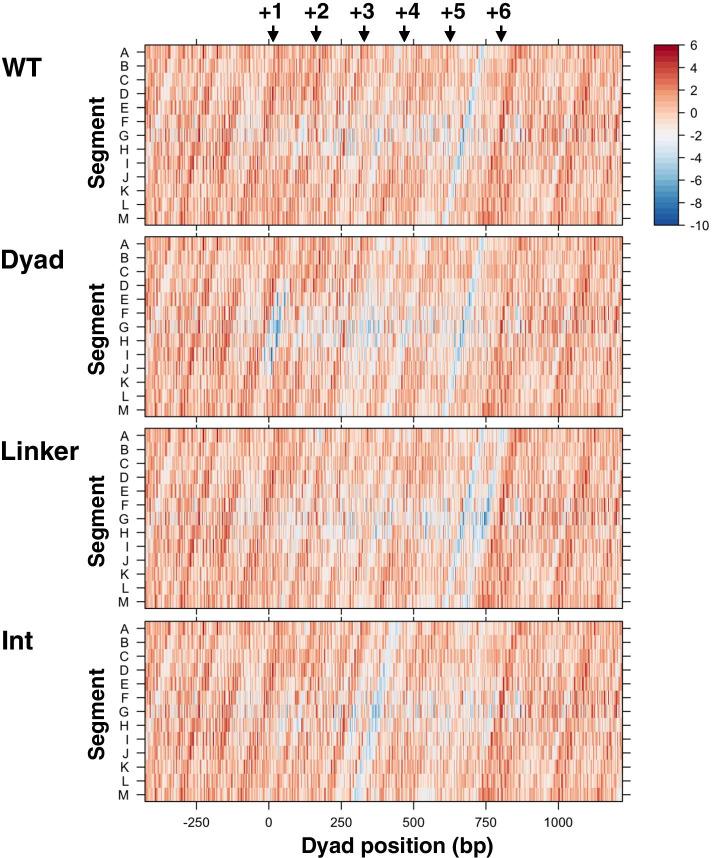 https://cdn.ncbi.nlm.nih.gov/pmc/blobs/fcf9/8201924/720c3e5e2d4d/12859_2021_4240_Fig6_HTML.jpg