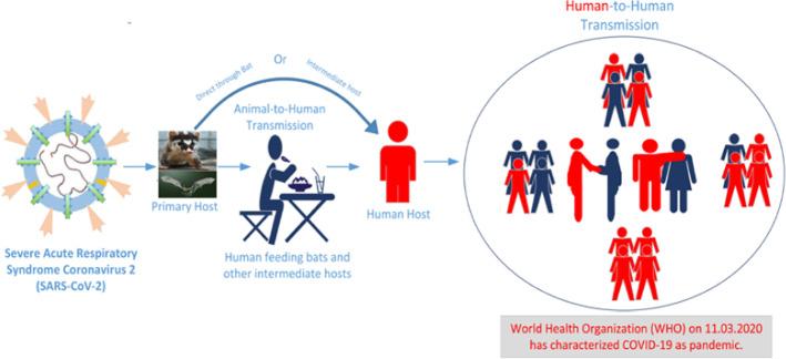 https://cdn.ncbi.nlm.nih.gov/pmc/blobs/fcfa/8720541/6f8a7d28eac1/10462_2021_10106_Fig2_HTML.jpg