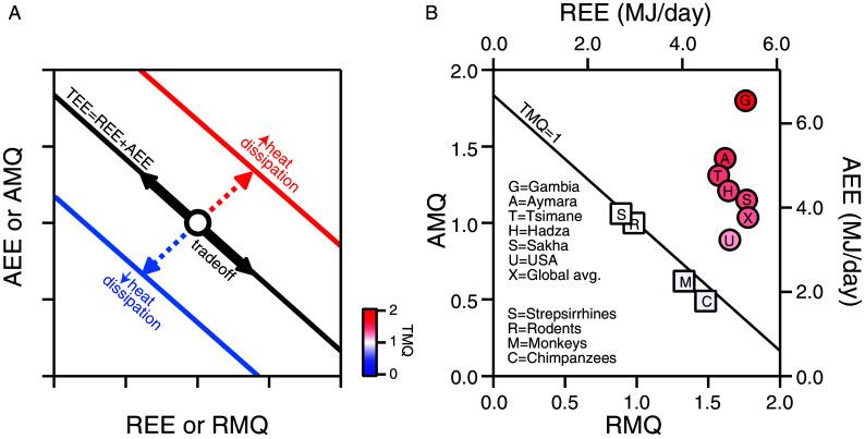 https://cdn.ncbi.nlm.nih.gov/pmc/blobs/fcfd/11621513/31823d78d6c5/pnas.2409674121fig01.jpg