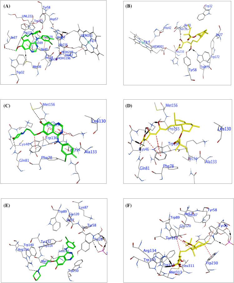 https://cdn.ncbi.nlm.nih.gov/pmc/blobs/fcfd/11964872/94a5abebd54e/OncolRes-33-54537-f006.jpg