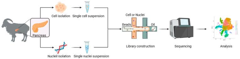 https://cdn.ncbi.nlm.nih.gov/pmc/blobs/fcfd/12027589/30be8431bd5e/ijms-26-03916-g005.jpg