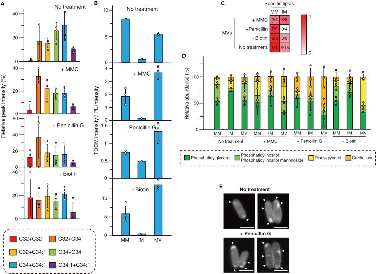 https://cdn.ncbi.nlm.nih.gov/pmc/blobs/fcfd/7835258/137f3f738053/gr3.jpg