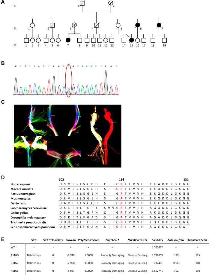 https://cdn.ncbi.nlm.nih.gov/pmc/blobs/fcfd/8638083/90b6edecdca5/fgene-12-776831-g001.jpg