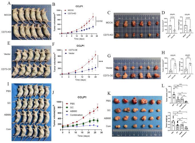 https://cdn.ncbi.nlm.nih.gov/pmc/blobs/fd00/11793283/2719a347be24/432_2024_5869_Fig3_HTML.jpg