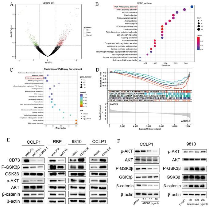 https://cdn.ncbi.nlm.nih.gov/pmc/blobs/fd00/11793283/9ec983fc8257/432_2024_5869_Fig4_HTML.jpg