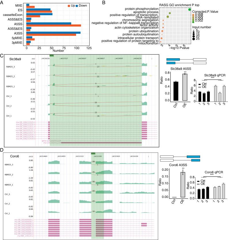 https://cdn.ncbi.nlm.nih.gov/pmc/blobs/fd03/10637245/3011fe7f4c0c/peerj-11-16312-g003.jpg