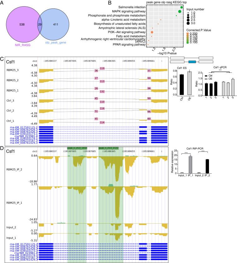 https://cdn.ncbi.nlm.nih.gov/pmc/blobs/fd03/10637245/b5bdea4532ca/peerj-11-16312-g005.jpg