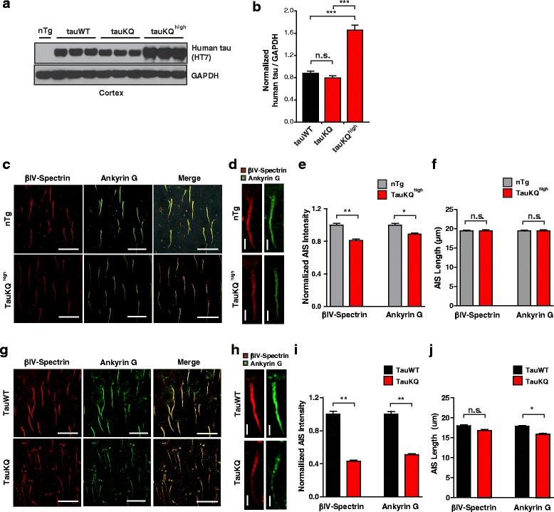 https://cdn.ncbi.nlm.nih.gov/pmc/blobs/fd04/4928318/b896e0a0d18a/13024_2016_109_Fig2_HTML.jpg