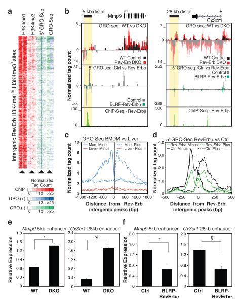 https://cdn.ncbi.nlm.nih.gov/pmc/blobs/fd05/3839578/22706abda8b3/nihms-471463-f0002.jpg