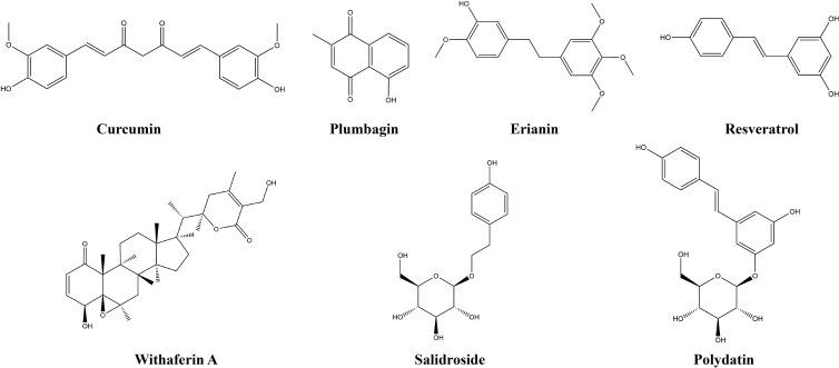 https://cdn.ncbi.nlm.nih.gov/pmc/blobs/fd07/10867126/d34b872612c7/fimmu-15-1343316-g005.jpg