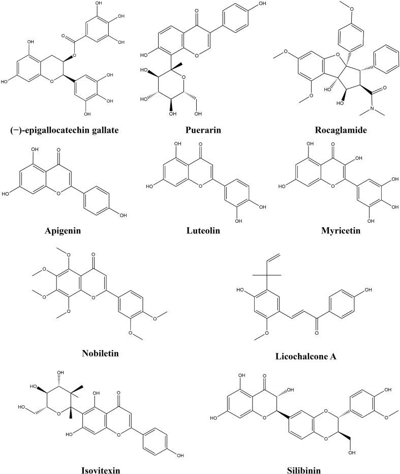 https://cdn.ncbi.nlm.nih.gov/pmc/blobs/fd07/10867126/fb40e933a123/fimmu-15-1343316-g003.jpg