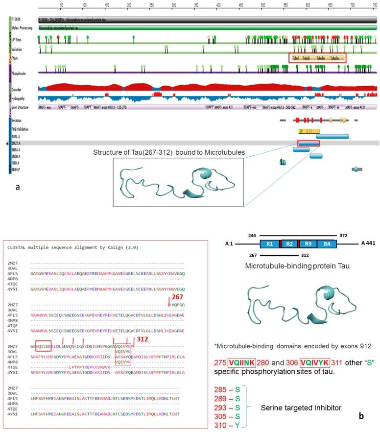 https://cdn.ncbi.nlm.nih.gov/pmc/blobs/fd08/6468864/35d0d32c18fb/cells-08-00260-g001a.jpg
