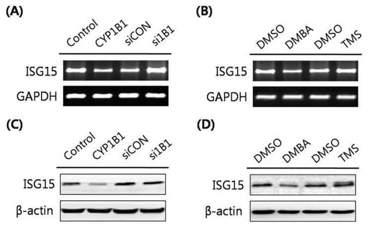 https://cdn.ncbi.nlm.nih.gov/pmc/blobs/fd0a/5523555/02469608f34c/tr-33-211f4.jpg