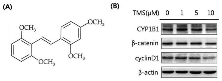 https://cdn.ncbi.nlm.nih.gov/pmc/blobs/fd0a/5523555/f9b70ba71c5b/tr-33-211f3.jpg