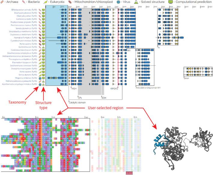 https://cdn.ncbi.nlm.nih.gov/pmc/blobs/fd0f/11580382/6f3613fb35e3/IUB-76-1091-g003.jpg