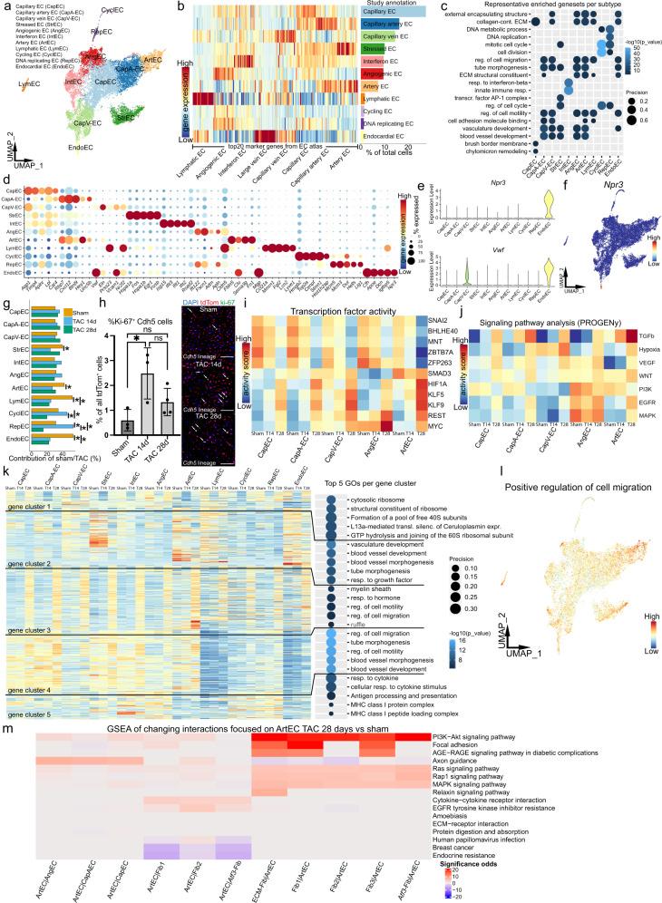 https://cdn.ncbi.nlm.nih.gov/pmc/blobs/fd0f/9156759/6c6cd3303163/41467_2022_30682_Fig6_HTML.jpg