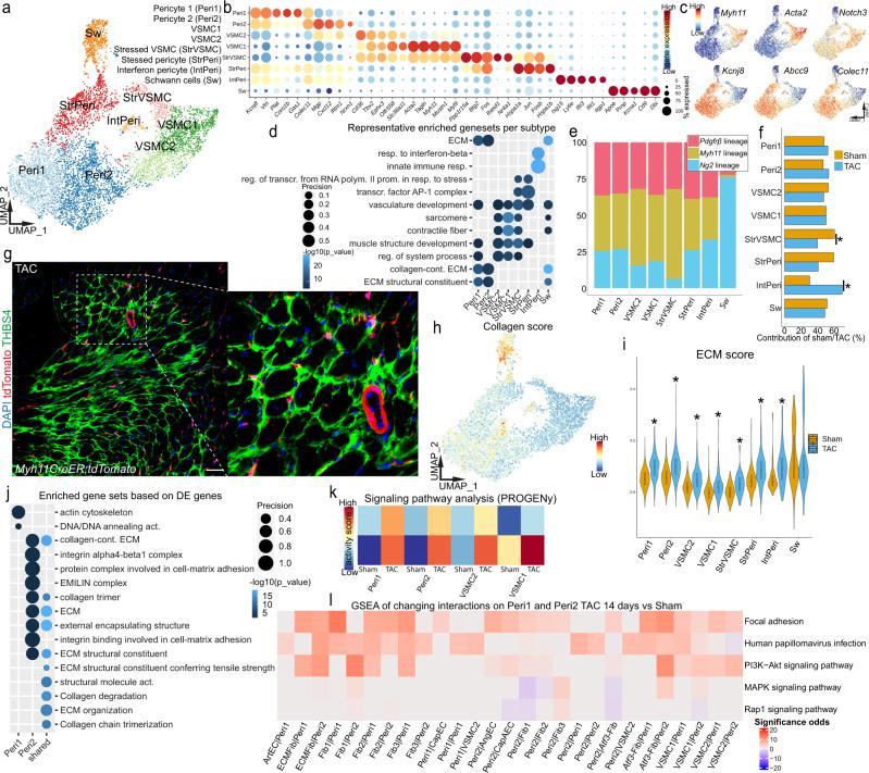 https://cdn.ncbi.nlm.nih.gov/pmc/blobs/fd0f/9156759/b8ab39cd52d7/41467_2022_30682_Fig7_HTML.jpg