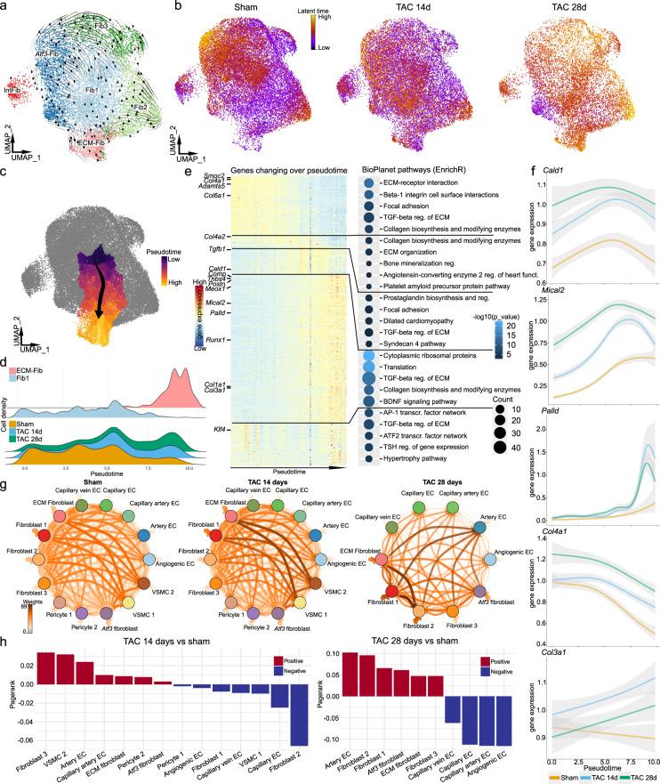 https://cdn.ncbi.nlm.nih.gov/pmc/blobs/fd0f/9156759/e5bf541b93b5/41467_2022_30682_Fig5_HTML.jpg