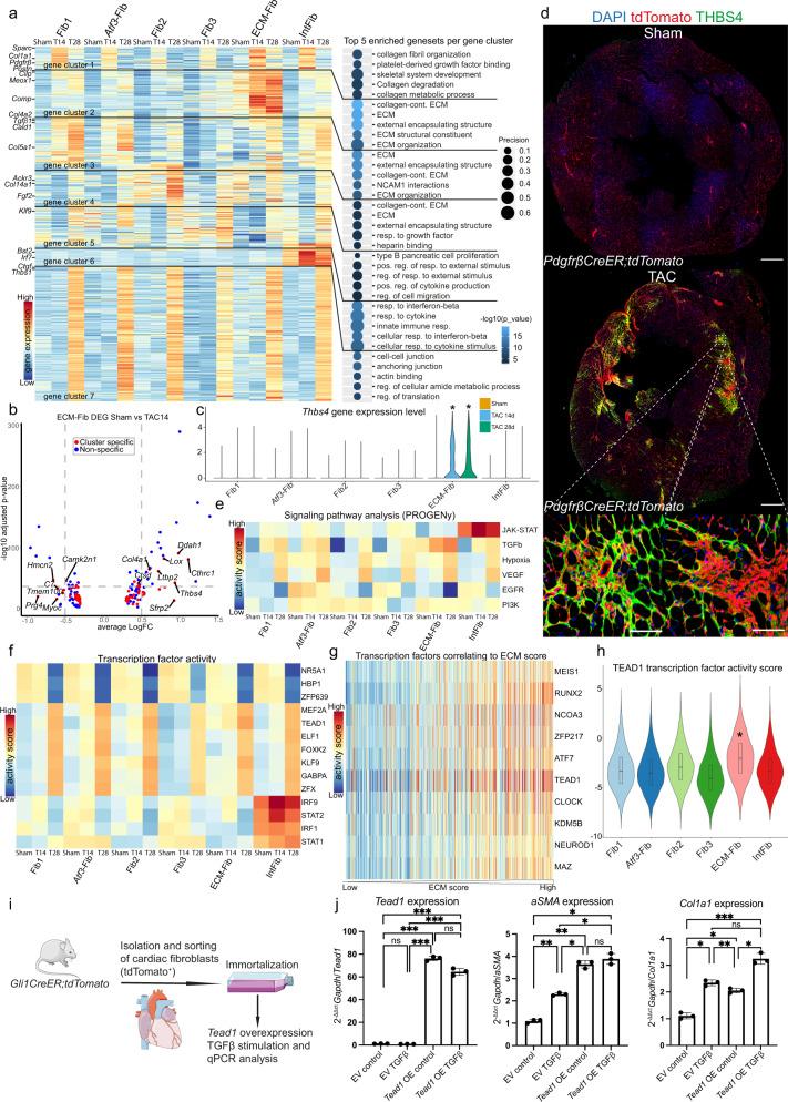 https://cdn.ncbi.nlm.nih.gov/pmc/blobs/fd0f/9156759/eb01d208992d/41467_2022_30682_Fig4_HTML.jpg