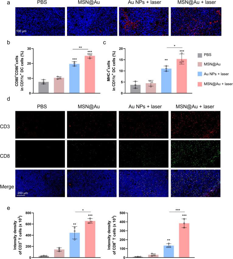 https://cdn.ncbi.nlm.nih.gov/pmc/blobs/fd17/12213700/c5d5d1c8f4f0/fimmu-16-1616539-g006.jpg