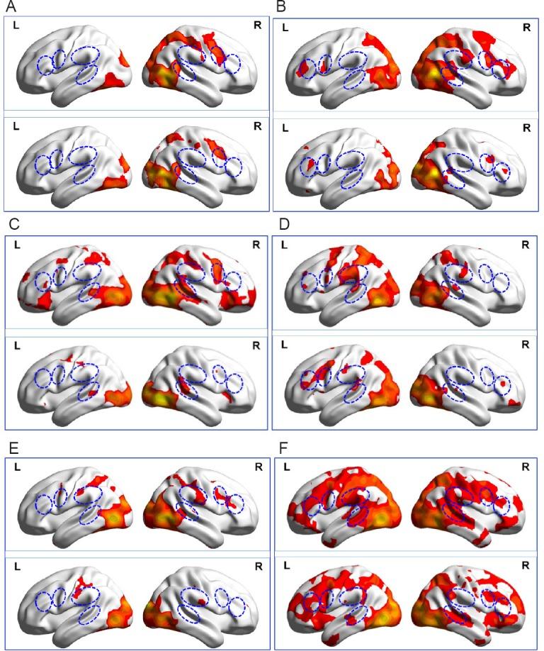 https://cdn.ncbi.nlm.nih.gov/pmc/blobs/fd17/6404486/dbe555ee0921/NRR-14-1004-g006.jpg