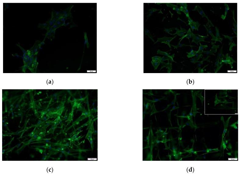 https://cdn.ncbi.nlm.nih.gov/pmc/blobs/fd17/7023022/e06a78bdc46d/polymers-12-00001-g010.jpg