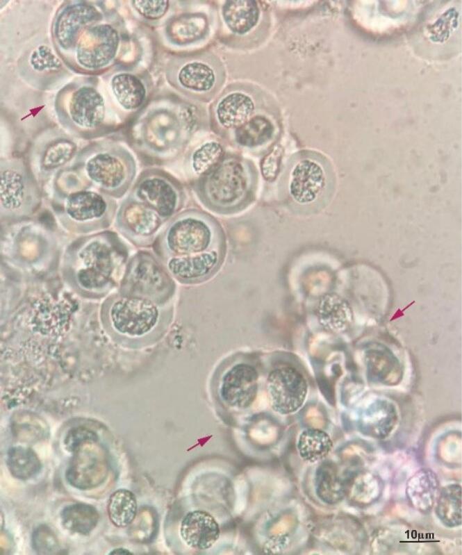 https://cdn.ncbi.nlm.nih.gov/pmc/blobs/fd1b/12204815/4b930a9f6fce/bi-15-30867-g001.jpg